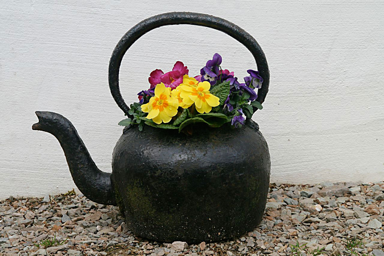 old kettle with flowers